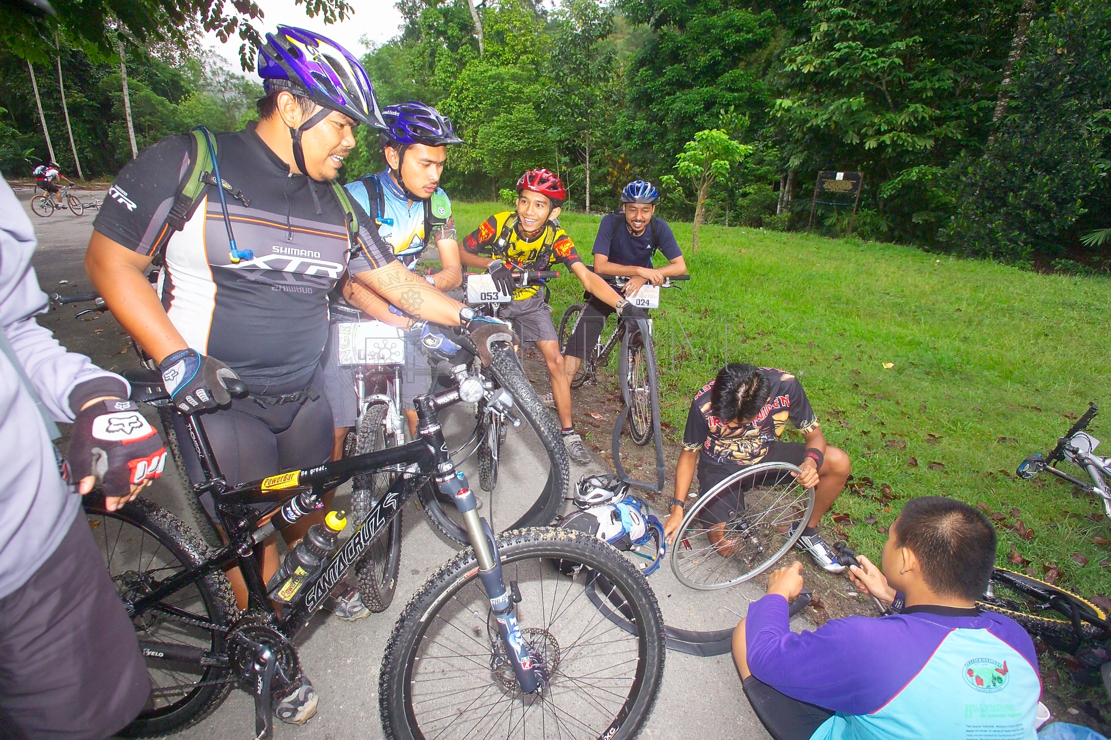 PTPM 06 31 kilau D9X44204